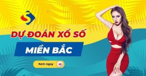 Dự đoán kết quả 11/3