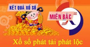 Dự đoán xổ số 15/12